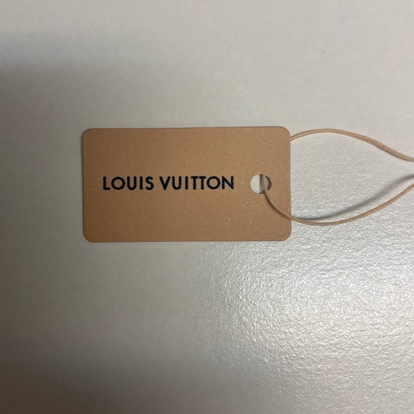 Louis Vuitton Essential V Stud Earrings- Silver - Picture 8 of 8